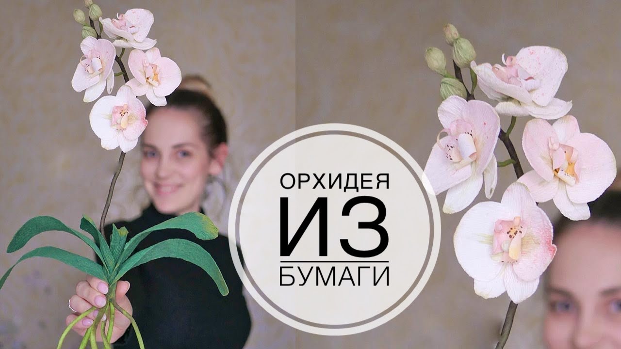 Paper ORCHID / ОРХИДЕЯ из бумаги / Как долго ее ждали / DIY TSVORIC