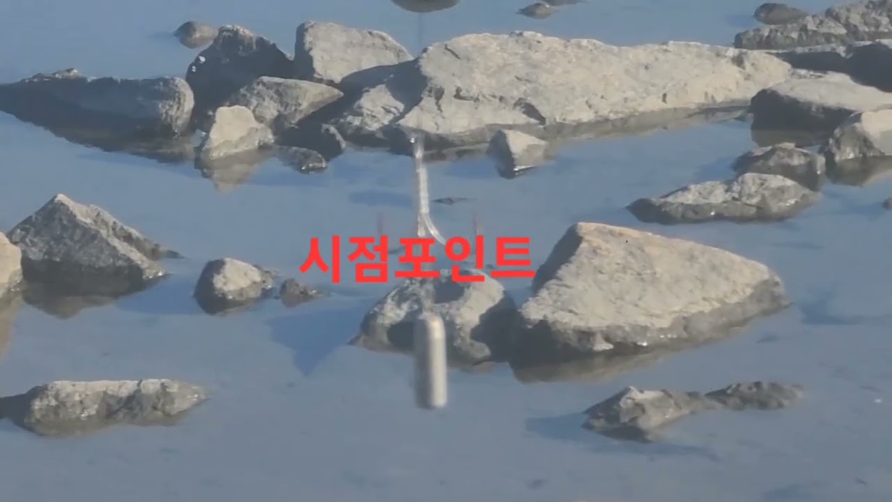 #영종도숭어훌치기 2/20 10물  #장타에횟감용   #시점포인트핫플  #총30여수조과