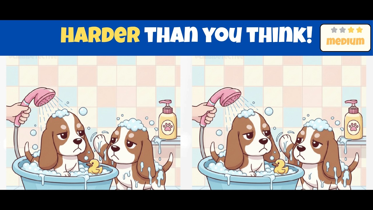 Spot 3 Differences | Brain Exercises  0043