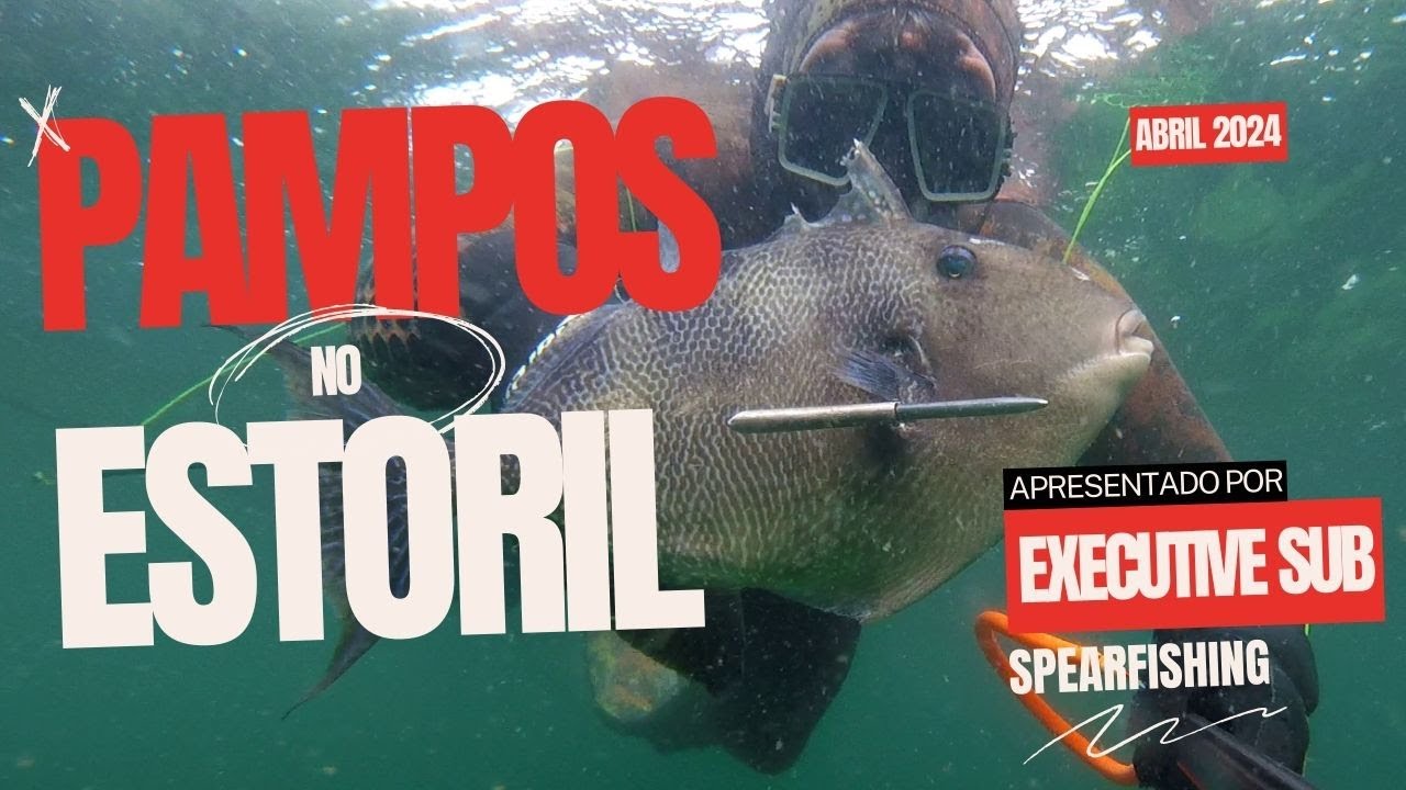 Pampos no Estoril (Pesca Submarina Cascais)