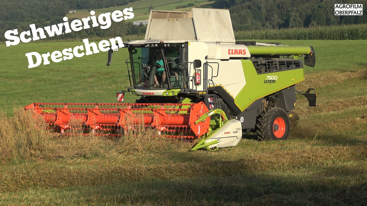 Problemfeld sauber dreschen - Claas Lexion 7500 - schwieriger Haferbestand - Lohnunternehmen Baumer