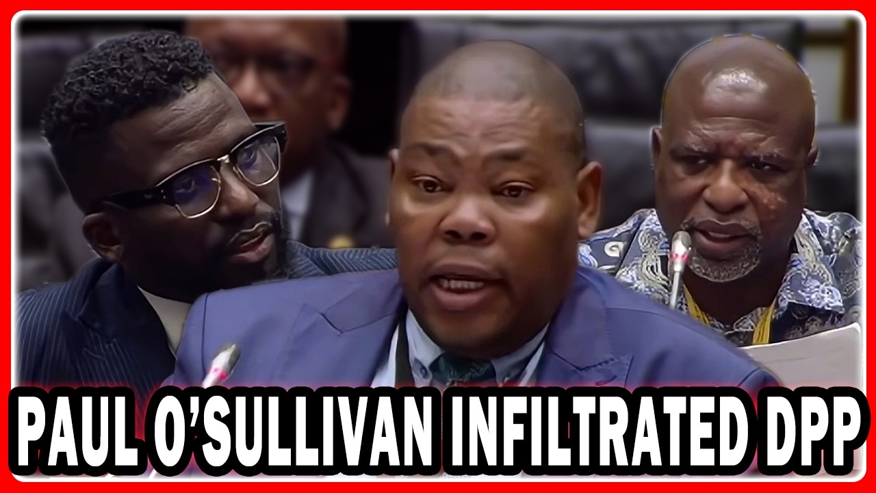 CHAOS AD HOC Committee Evidence By ADV Michael Mashuga 
