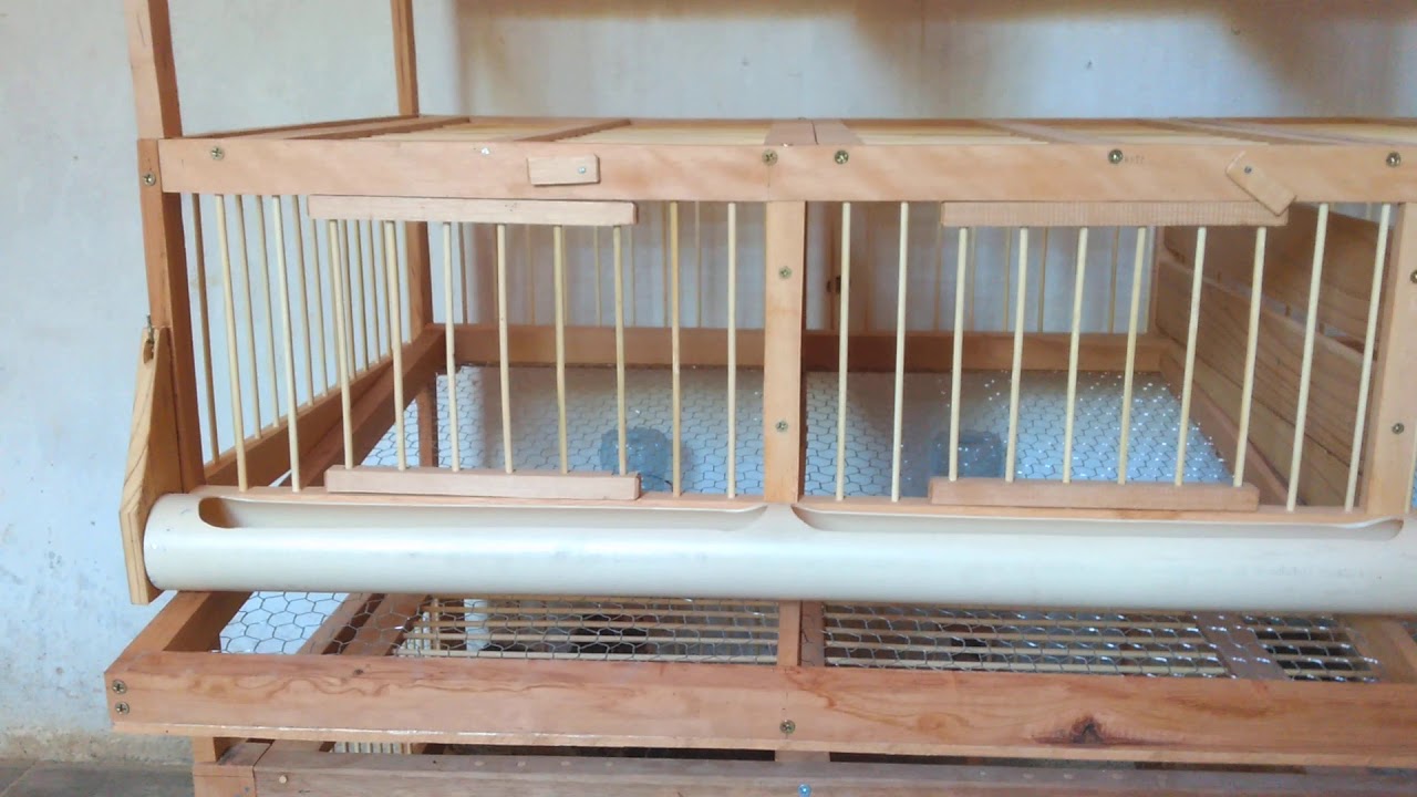 Acompanhando a fabricação das gaiolas das codornas