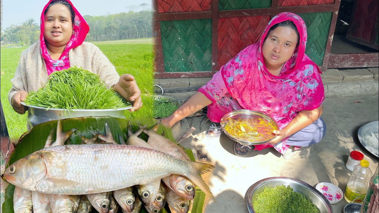 তাজা ইলিশ দিয়ে সরিষা ইলিশ আর কলাই ক্ষেতের শাক / simple village life 24 / Bengali vlog / sorseilish /