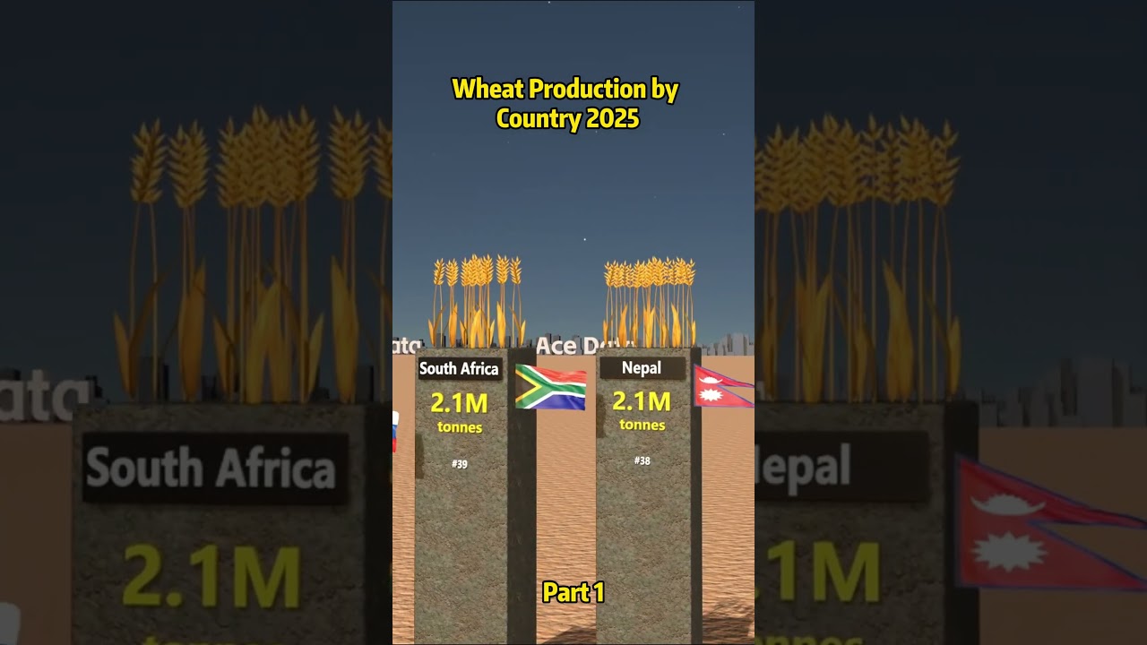 Wheat Production by Country 2025 #data #usa #comparison  #wheat