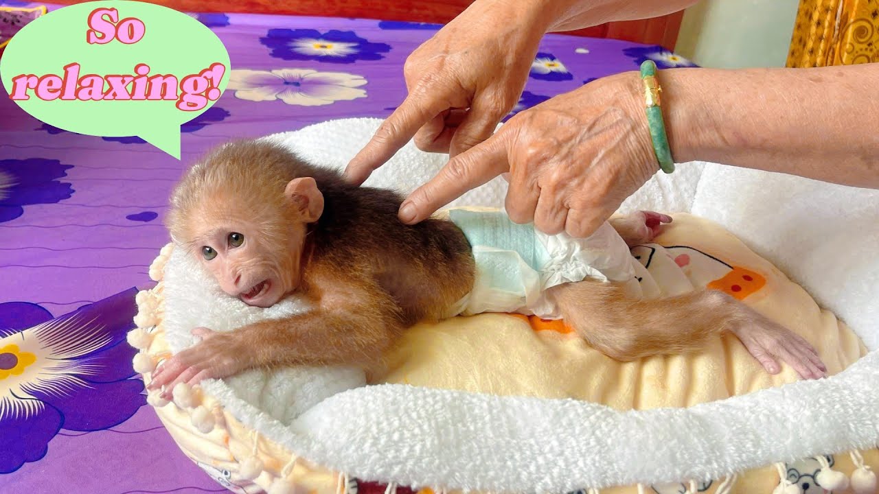 So Adorable: Lulu Takes Hygiene Seriously — Grandma’s Special Care for Her
