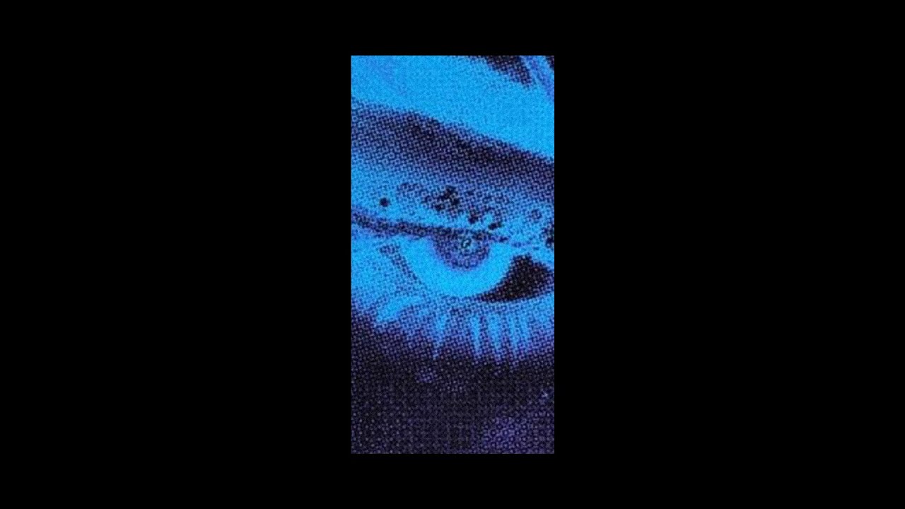 [FREE] Trippie Redd x Juice WRLD Type Beat - 