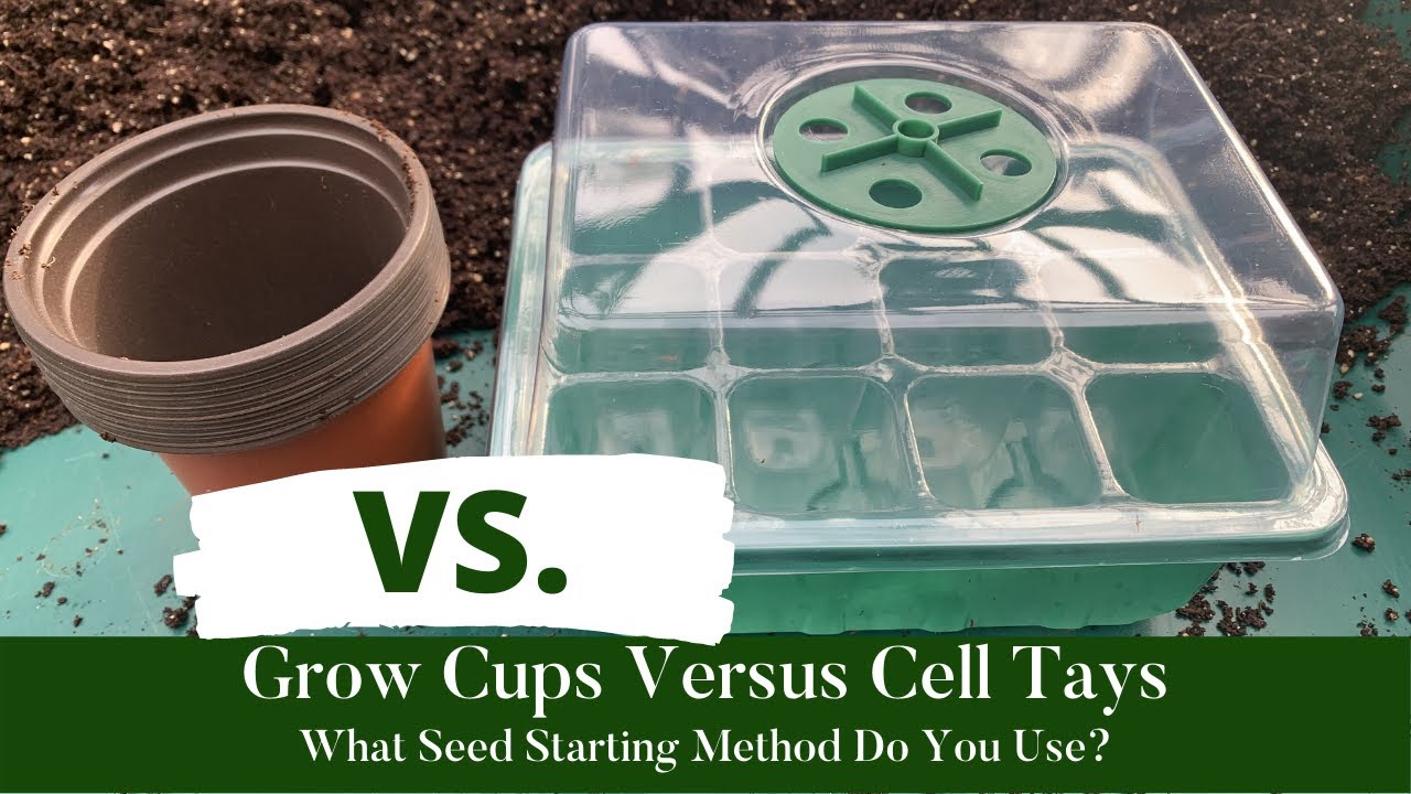 Seed Starting Methods| Seed Cups vs. Cell Trays