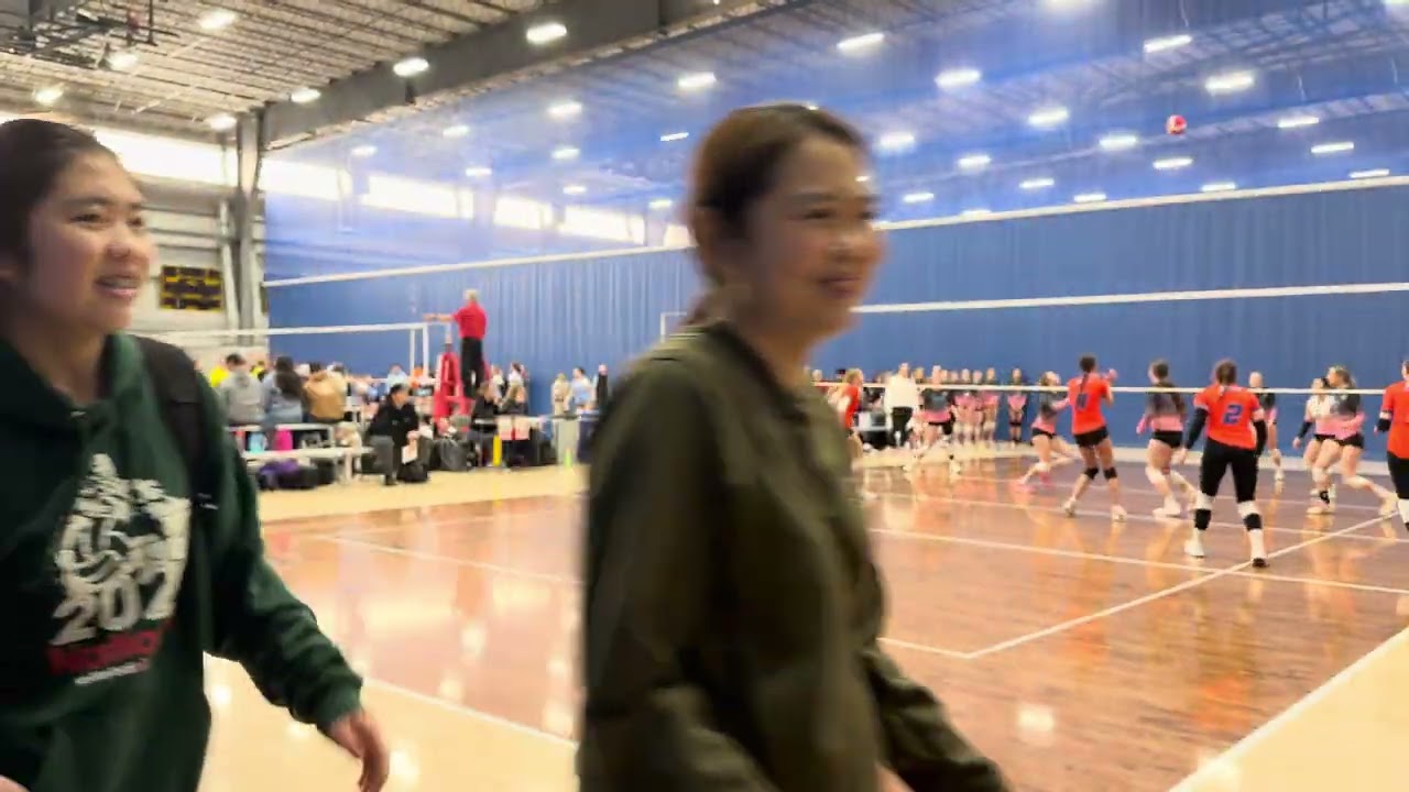 Sharks VS. Sea Dragons Pink (Set 1)