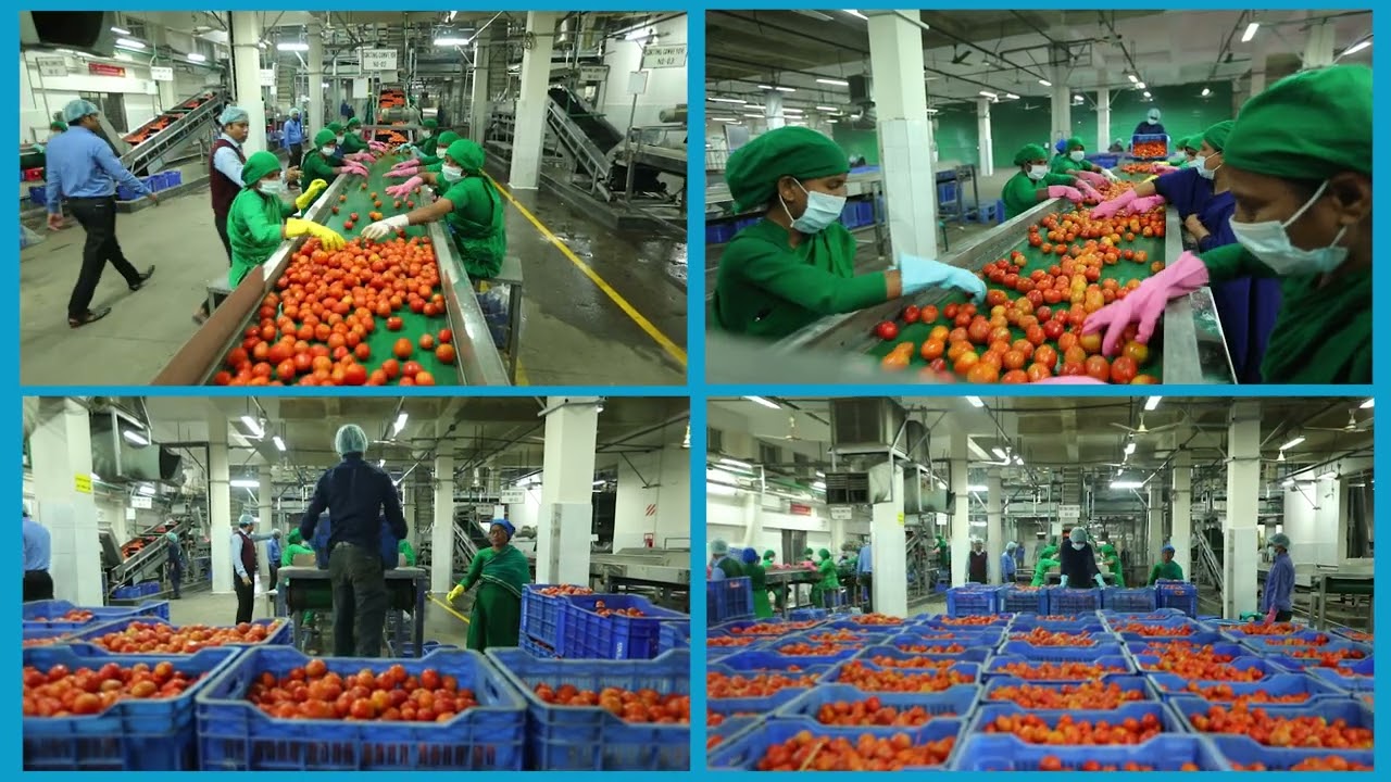 SNV Bangladesh- Documentary