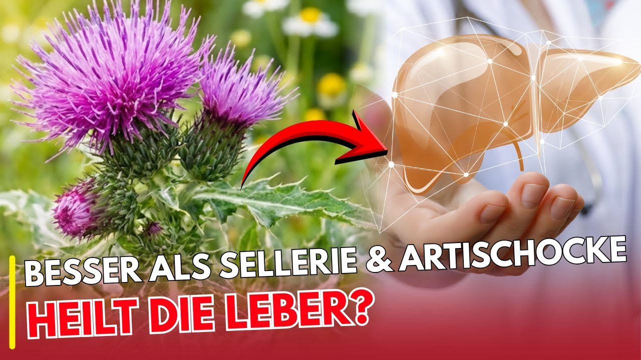 Besser als Sellerie & Artischocke. Heilt die Leber – und wurde deshalb verdrängt? | EHRLICH ESSEN