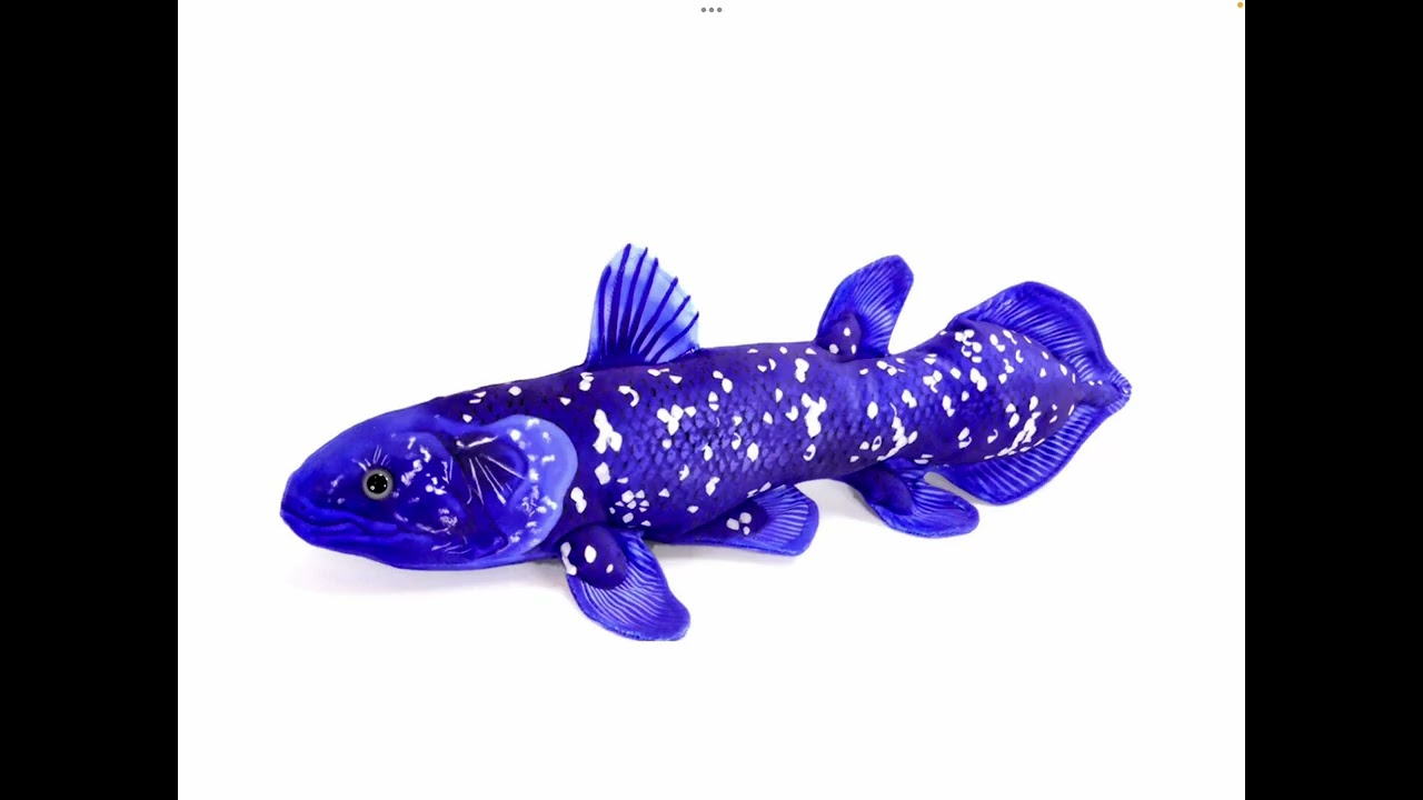 Song that plays when you encounter a coelacanth