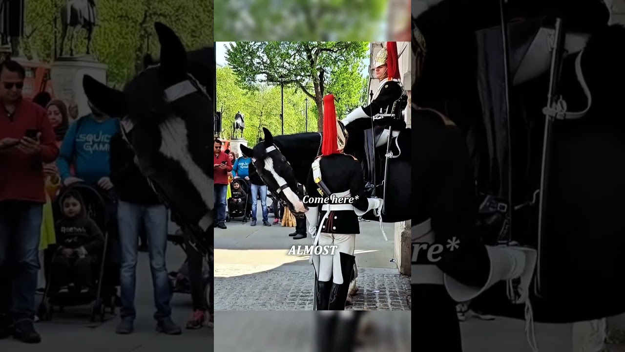 Королевский гвардеец прощается со своим конём 💔🐎