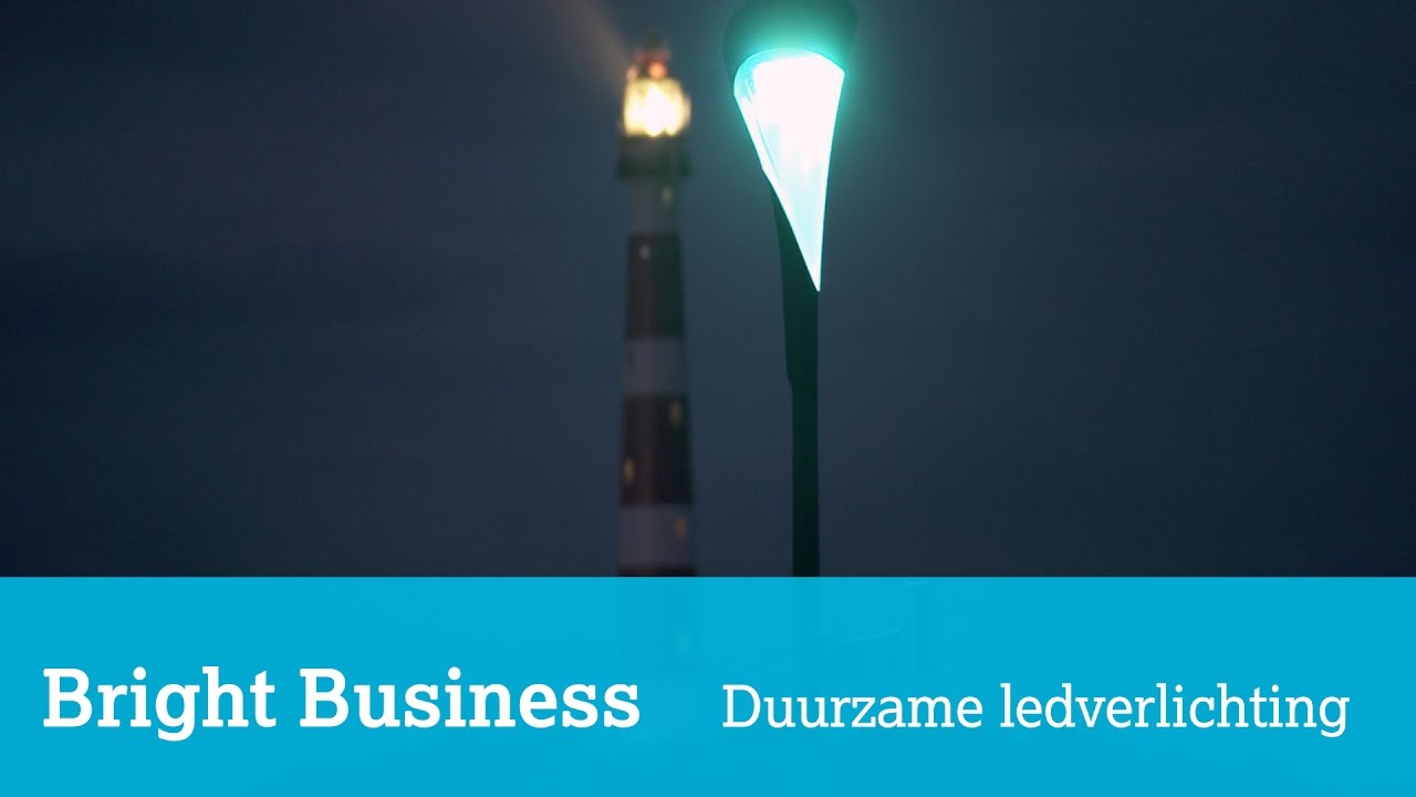 Deze led-straatverlichting is zuinig en vogelvriendelijk