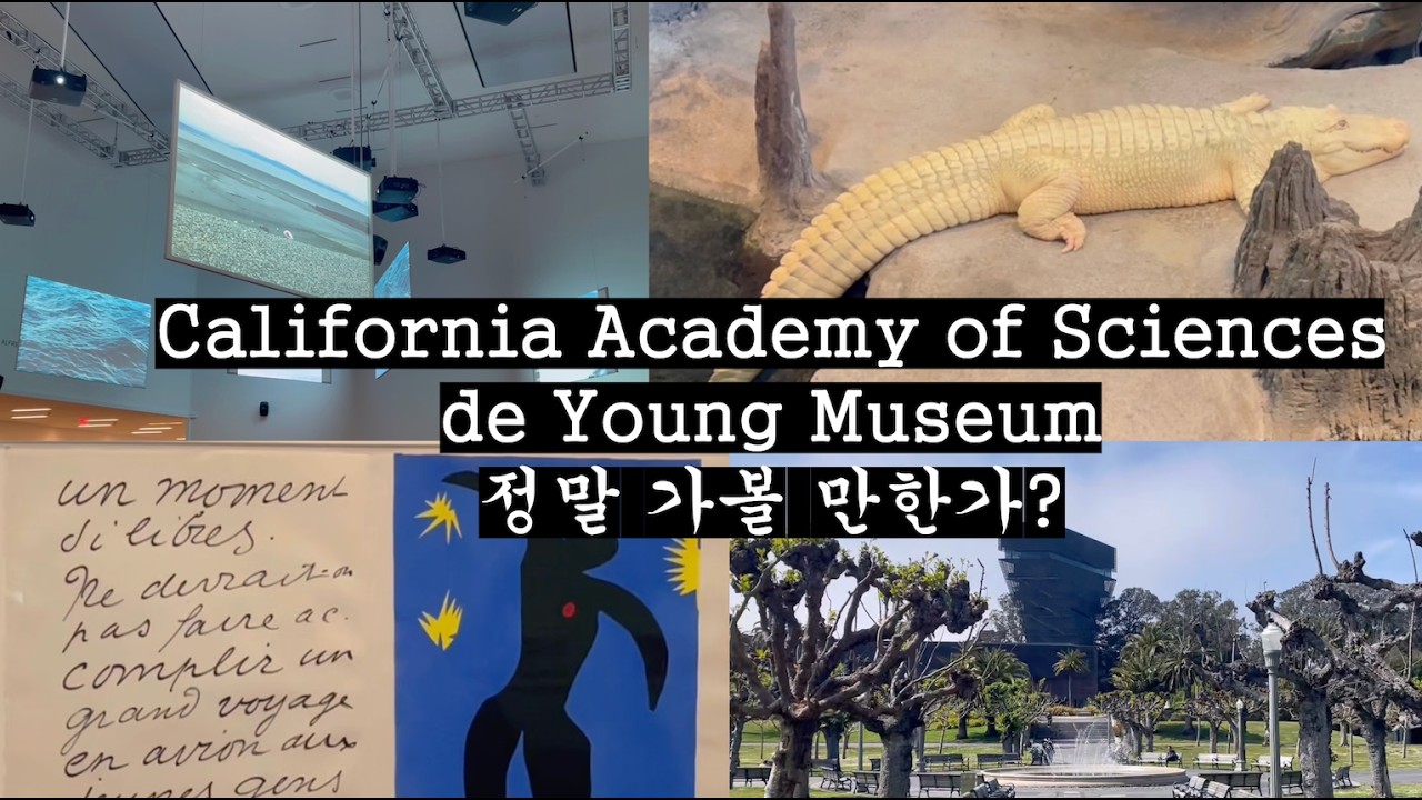샌프란시스코 골든게이트파크에서 하루 보내기 | California Academy of Sciences & de Young Museum