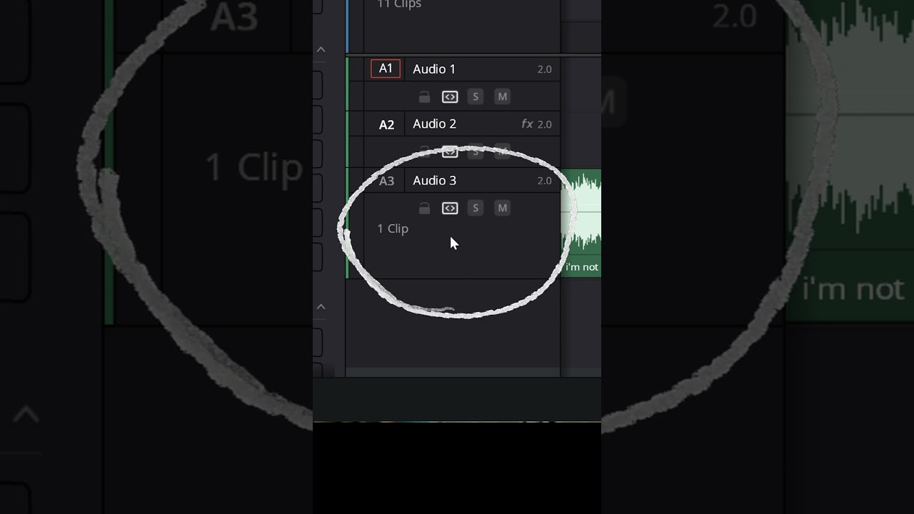 Isolate Vocals! Remove Instruments! Music REMIXER in DaVinci Resolve 19