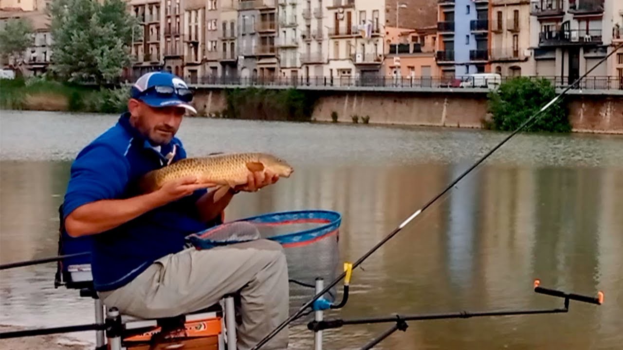 📍Secretos del Feeder METHOD:💥 atrapando peces con pan💥
