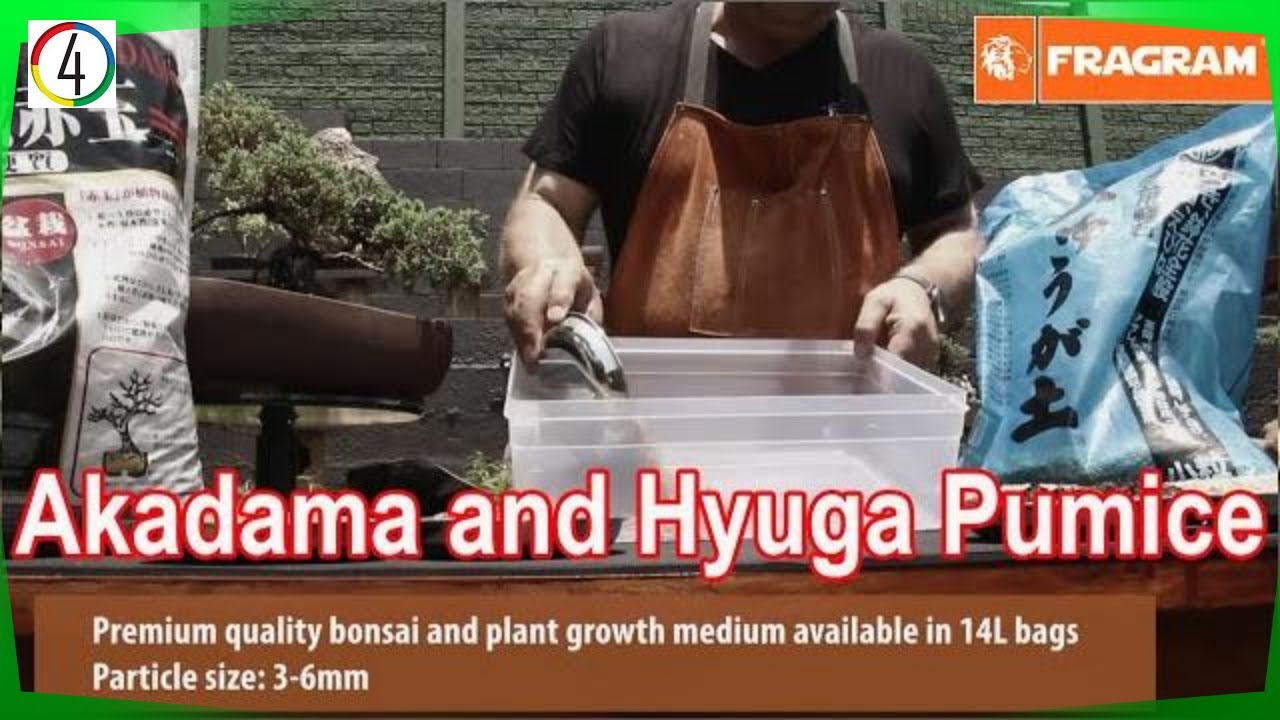 🌲Akadama and Hyuga Pumice Imported from Japan For Bonsai