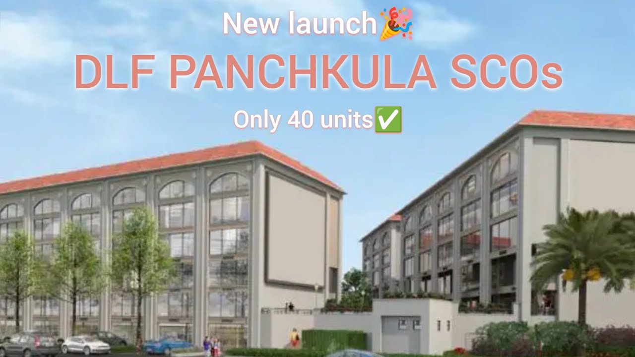 NEW LAUNCH | DLF PANCHKULA SCOs | 📞8168435006