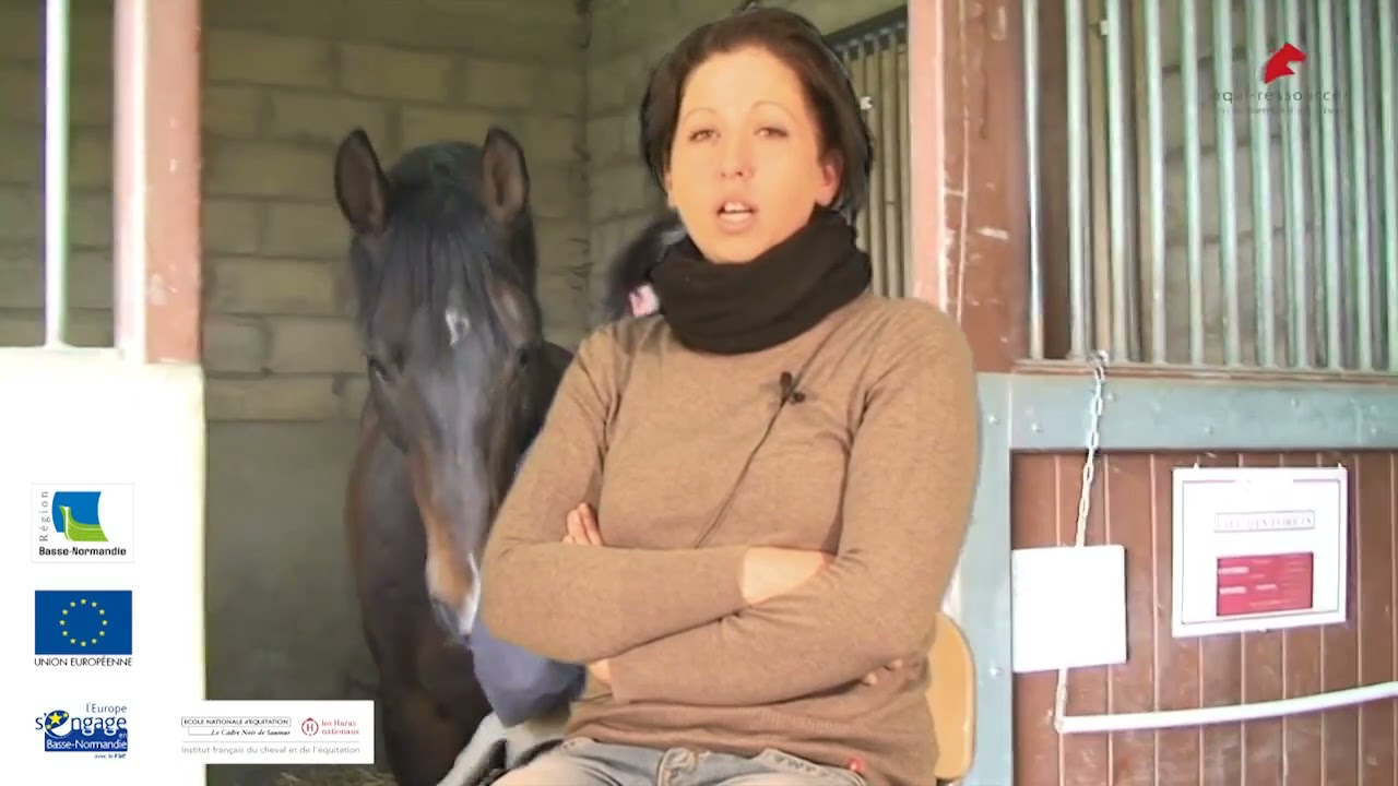 Métier   Palefrenier soigneur