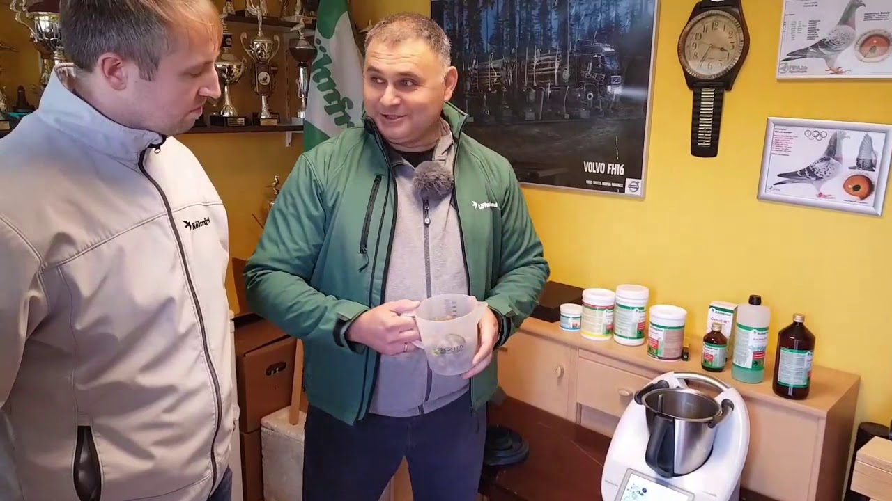 Pierzenie to  bardzo ważny okres w życiu gołębi