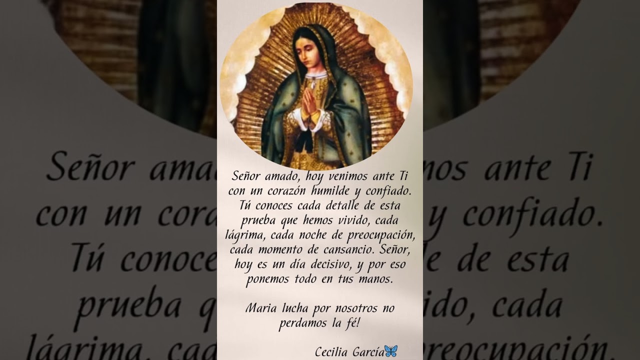Señor amado, hoy venimos ante Ti con un corazón humilde y confiado. Tú conoces cada detalle de esta