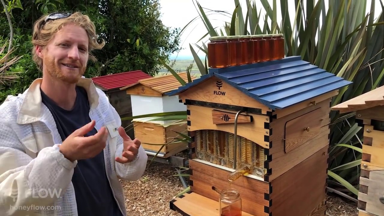How to tell when your Flow Hive is ready to harvest 🍯🐝🌻[LIVE]