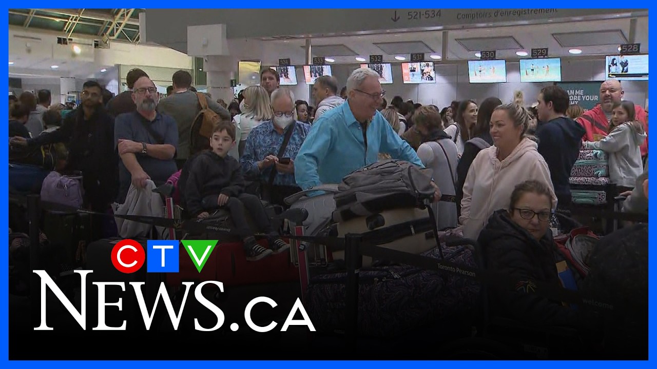 More data needed for unpaid airline work allegations: feds | CTV News Red Deer for Feb. 13, 2026