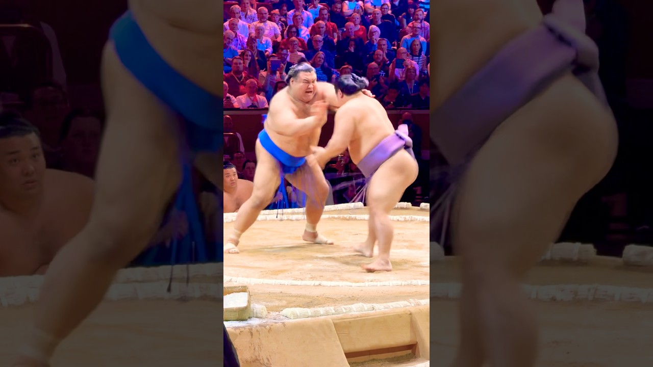 The Grand Sumo Tournament 2025 London #sumo #相撲 #royalalberthall #力士 #髙安 #takayasu #tobizaru