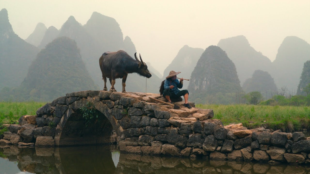 China Reel - 2025