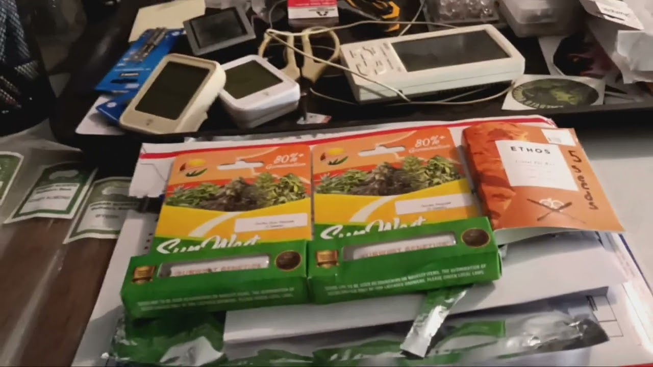 SunWest Genetics: new seeds arrived