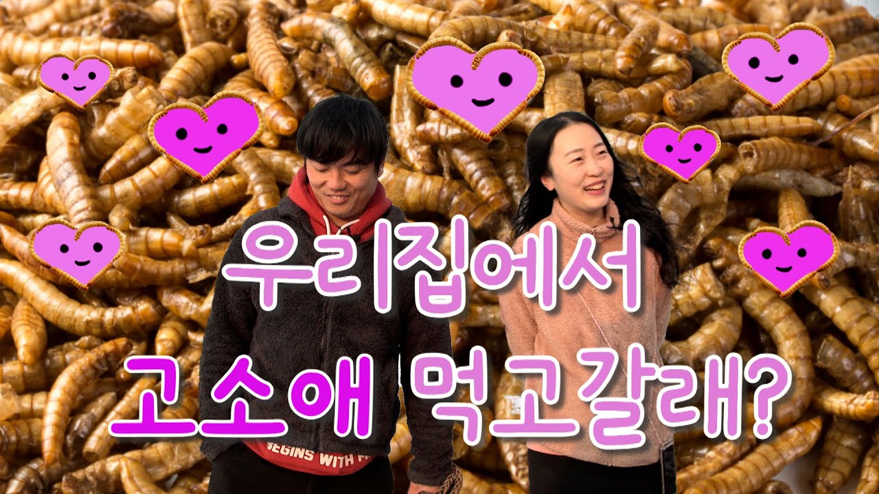 [역전의부자농부 336회] 고소애 농장 운영으로 연 매출 3억 원! 경기 양주 이계용 부자농부