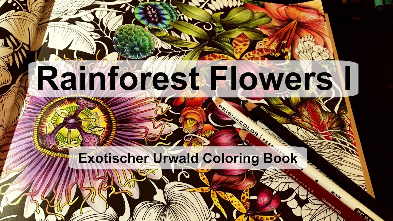 Rainforest Flowers I | Adult coloring book: Exotischer Urwald (Exotic Jungle)