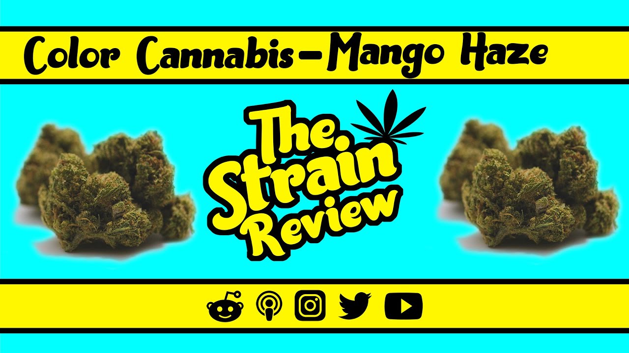 Color Cannabis - Mango Haze: Hybrid | The Strain Review