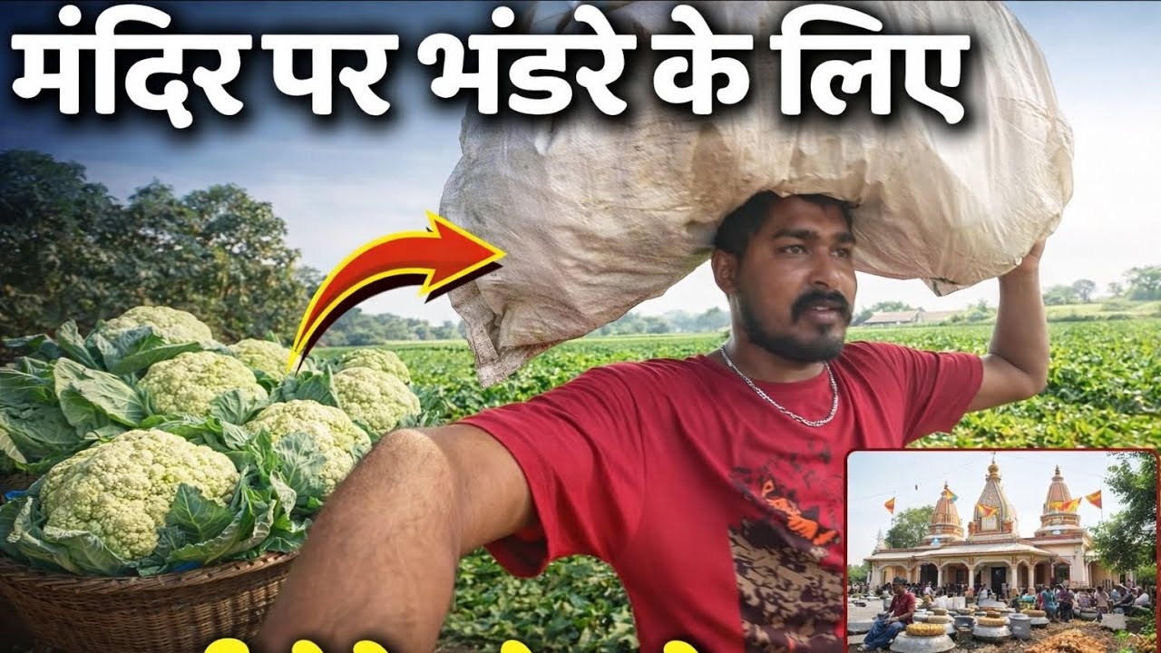 Guys mandir par bhandare ke liye sabji lene Khet par agye🙏✌️✅🙏#viralvideo #jaybholenaath 