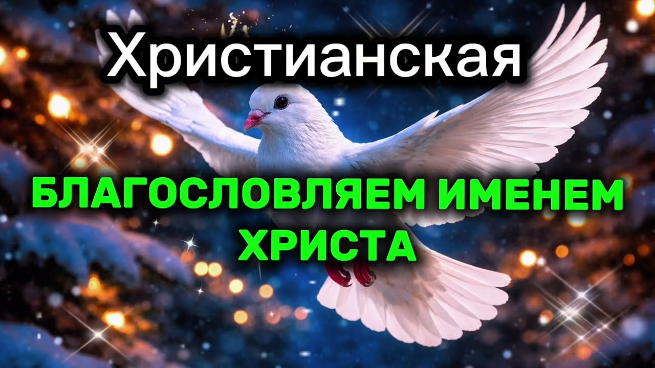 Благослови Вас Навсегда | ПЕСНЯ БЛАГОСЛАВЛЯЕМ ИМЕНЕМ СОЗДАТЕЛЯ   #christiansong  #христианскиепесни