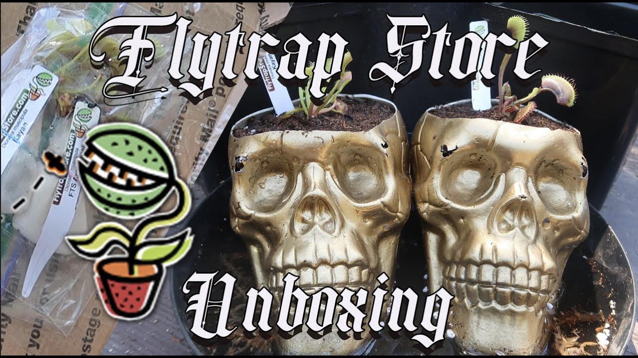 Flytrap Store Unboxing