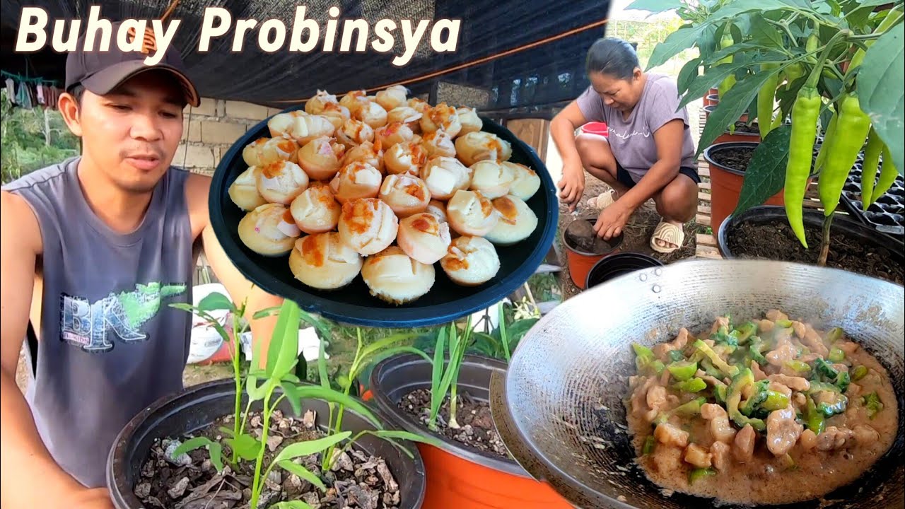Ep.652- Sili sa paso maraming bunga | nagluto ng bicol express | buhay probinsya