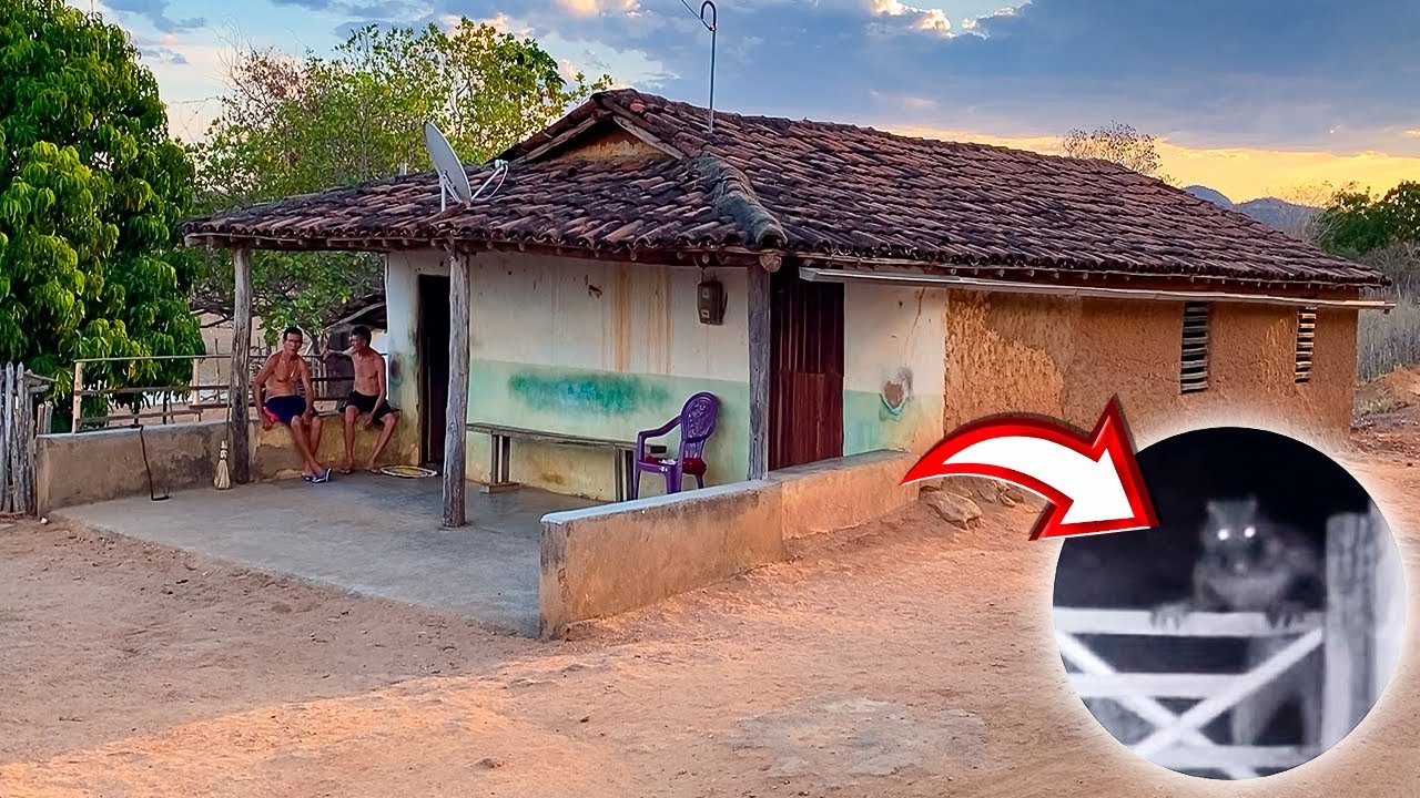 Lobisomem assombra moradores do sertão cearense