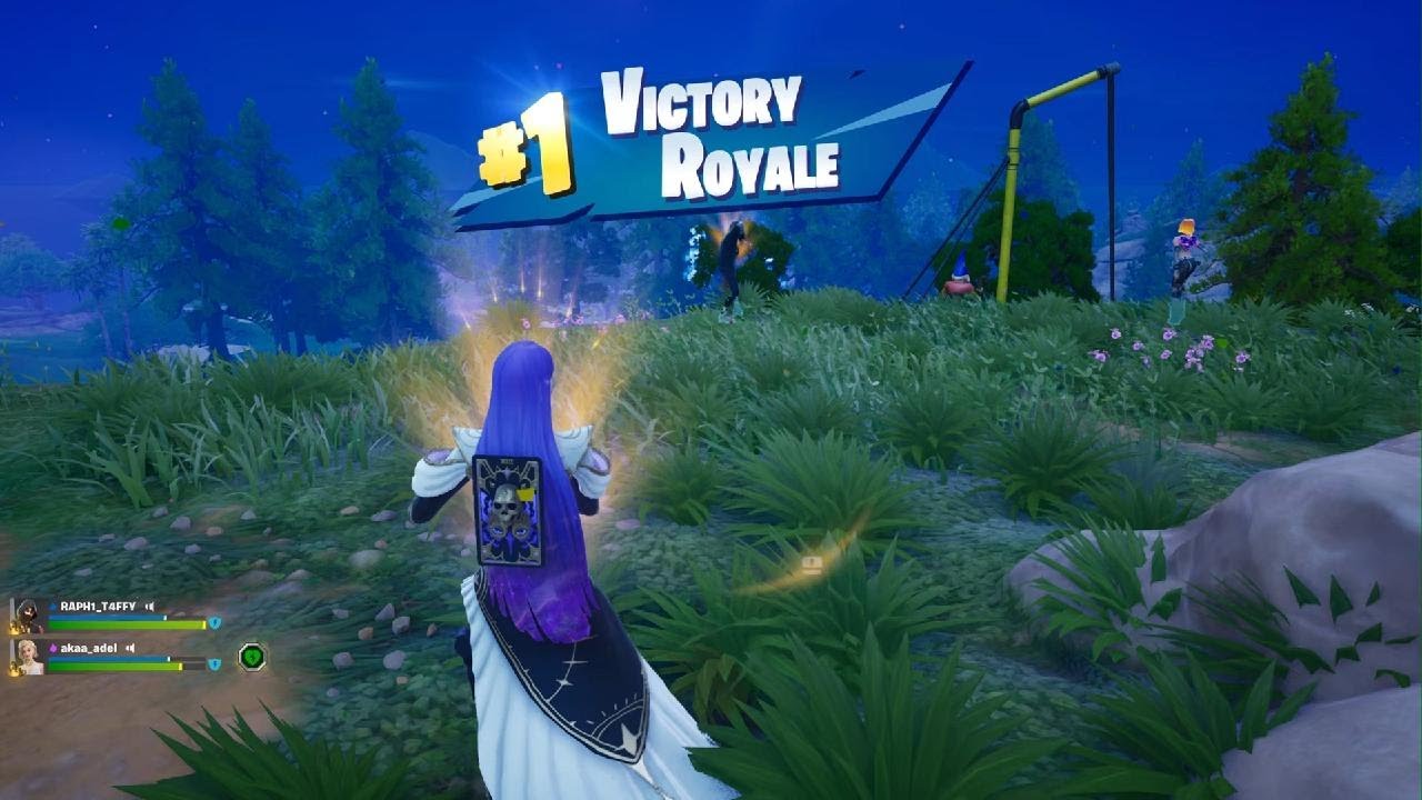 Fortnite 18 kill dub