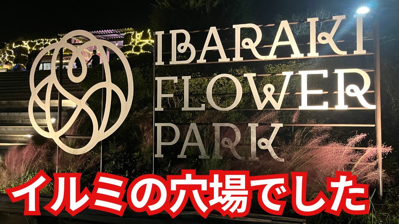 【茨城フラワーパーク】まさかの穴場イルミネーション！人が多くなくて最高すぎた✨