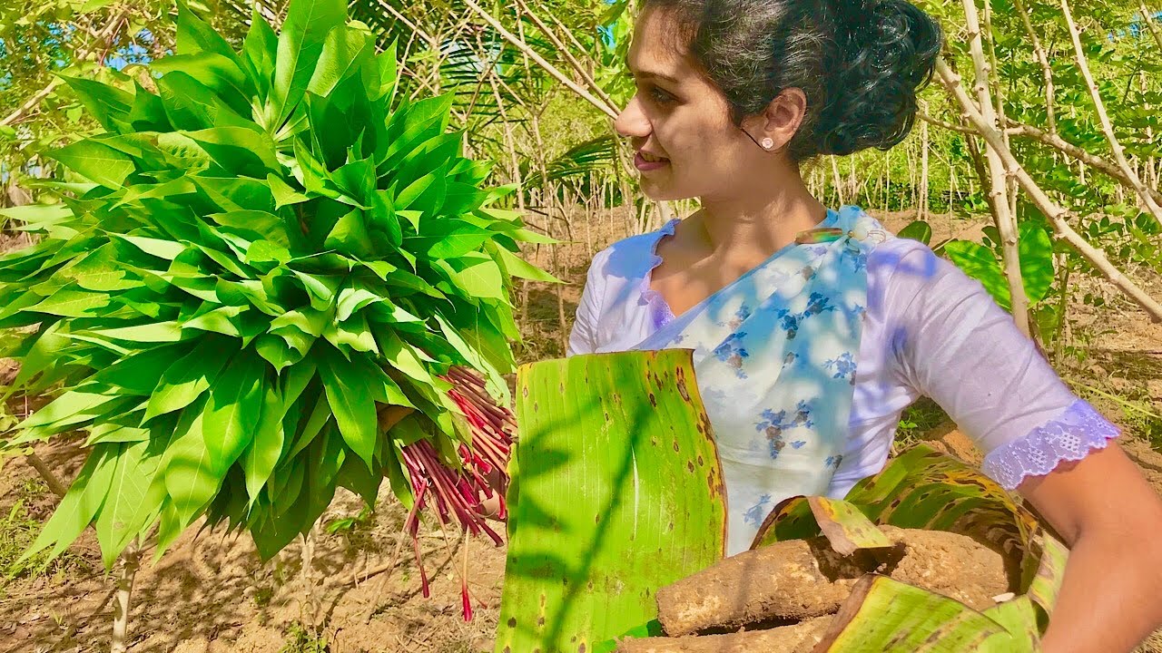 Authentic Cassava hot pot for villager’s calm evenings