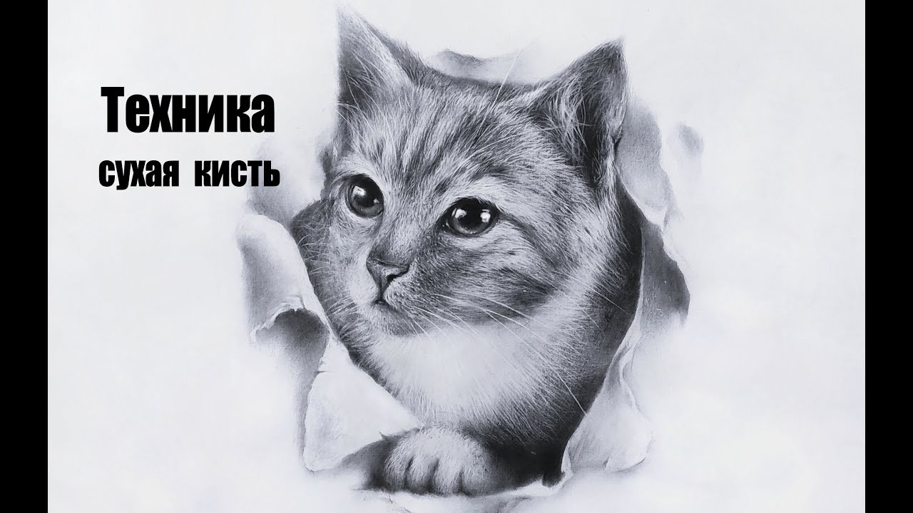 Техника сухая кисть. Рисуем котёнка. Художник Чупринов