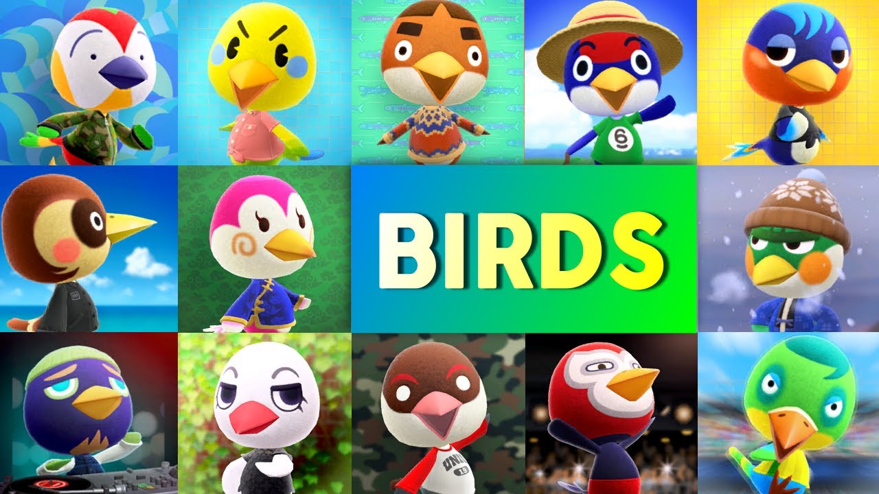 All 13 Bird Villager House Interiors - 2 Bird Villagers of House Interior is actually the Same!