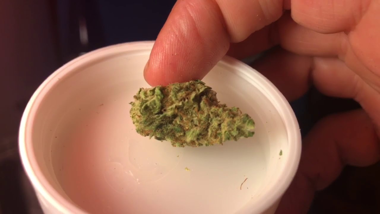 Skunk Hero & 10th Plant Flower Review Curaleaf || Medical Marijuana Fl