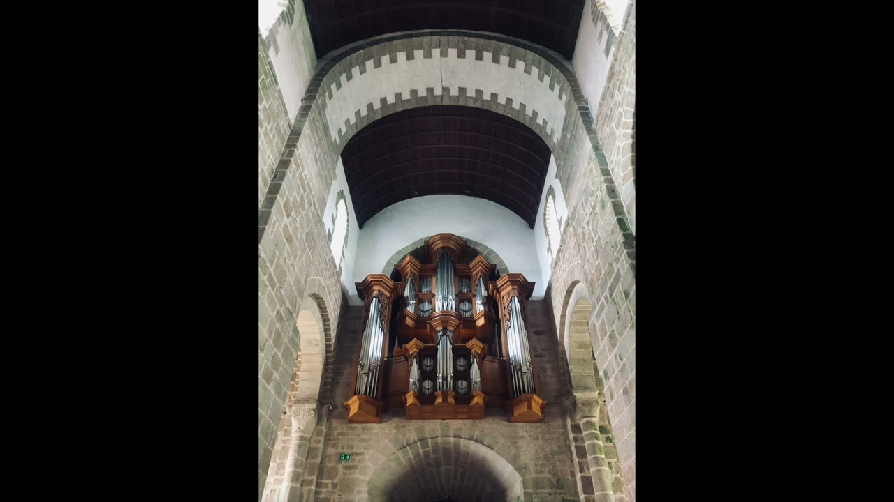 Antonio Vivaldi : Concerto en la mineur op. 3 n°8 - Virgile Monin