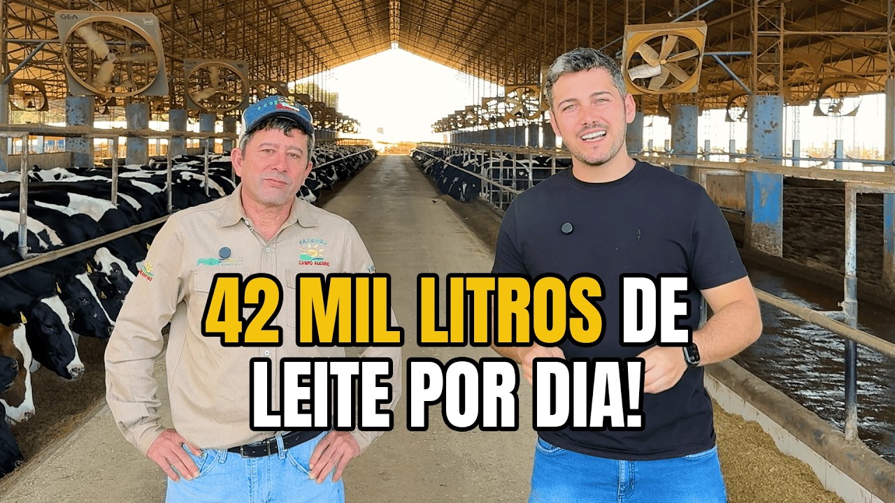 Essa Fazenda produz 42 MIL LITROS de Leite POR DIA! (visita completa)