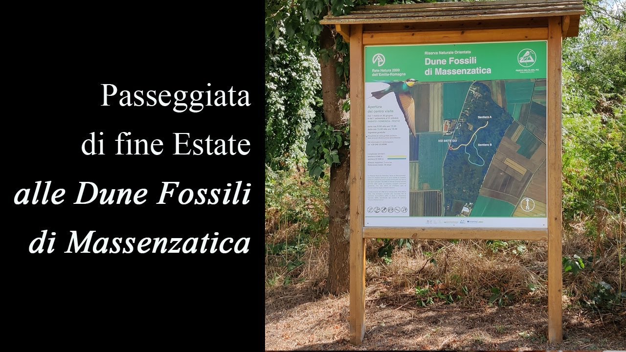 Dune Fossili di Massenzatica - Riserva Naturale Orientata