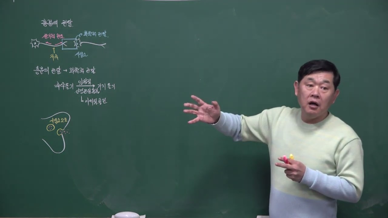 26년03월09일_2단원_신경계의 구조와 기능_개념