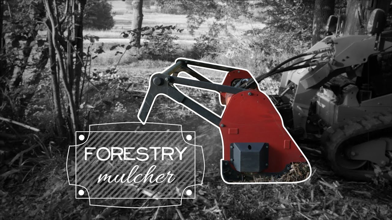 Forestry Mulcher | 2019